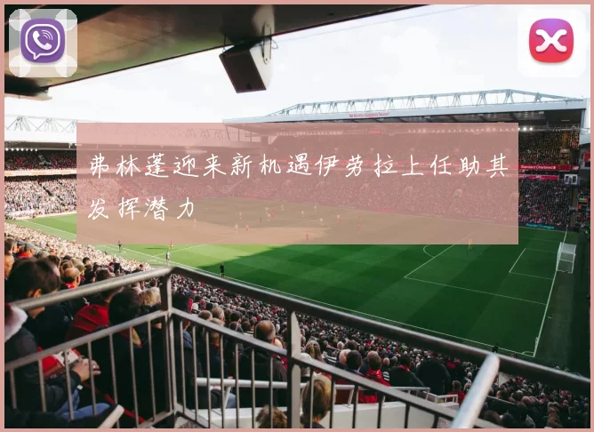 弗林蓬迎来新机遇伊劳拉上任助其发挥潜力